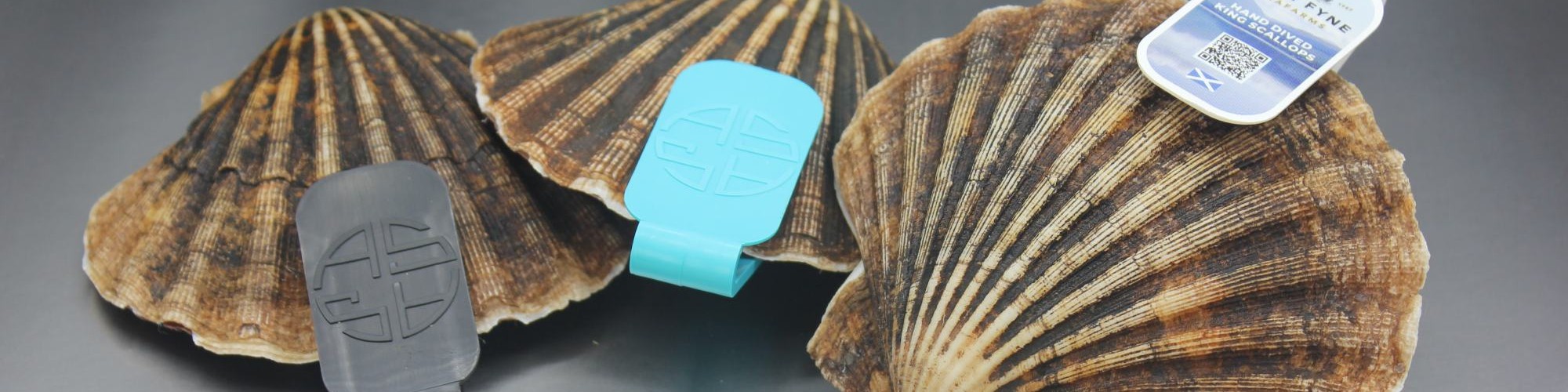 shellfish tags